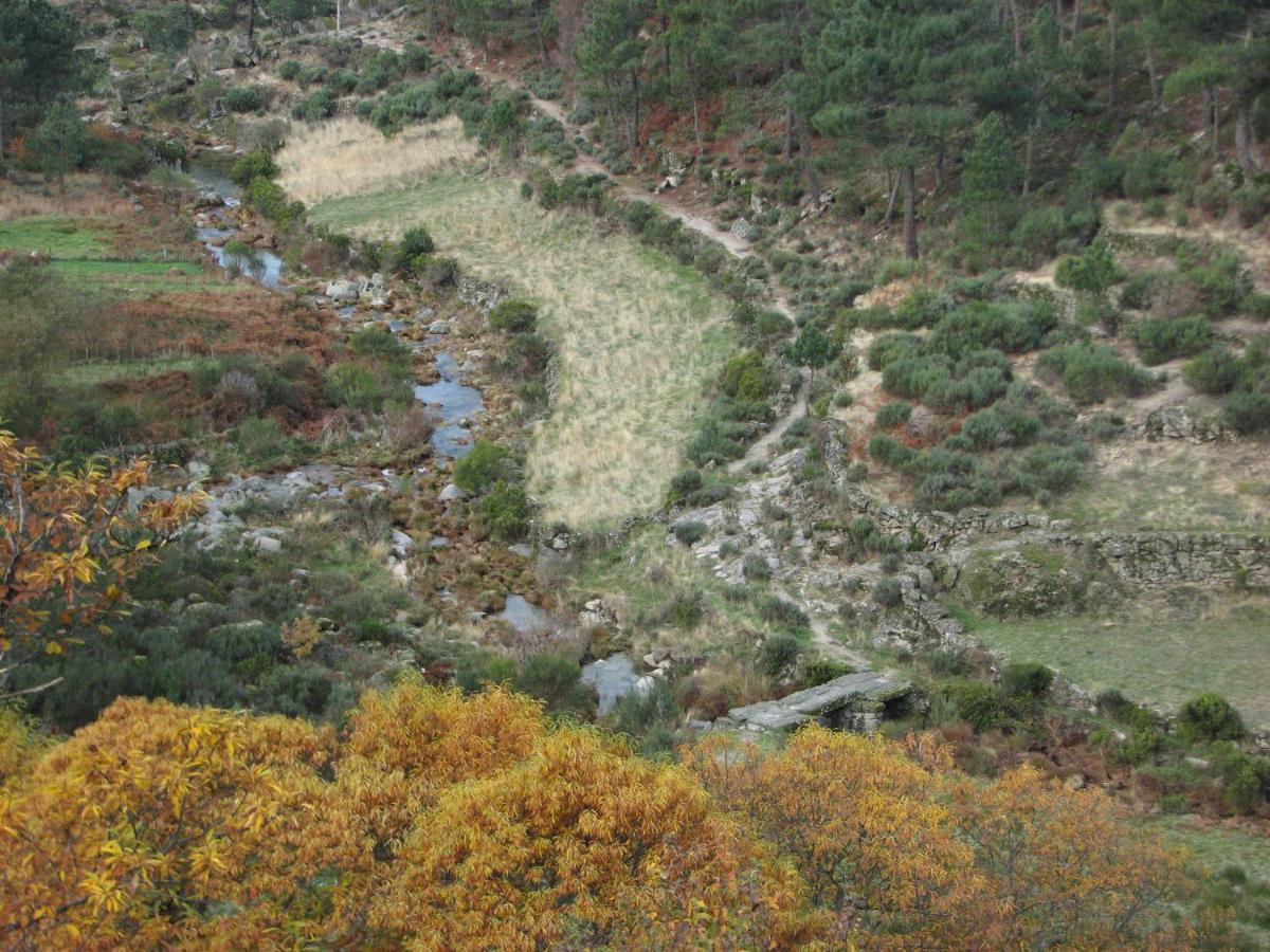 Sambuc'Asa - Serra Da Estrela Sabugueiro  Exterior photo